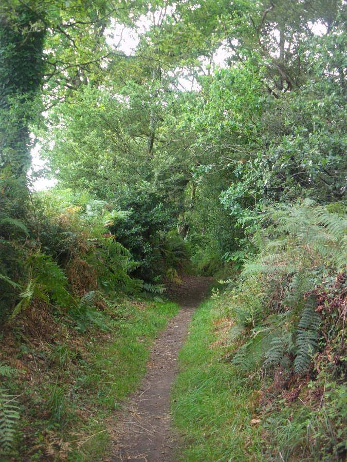 Location de vacances pour 4 personnes, adapté aux familles à Nostang - 3