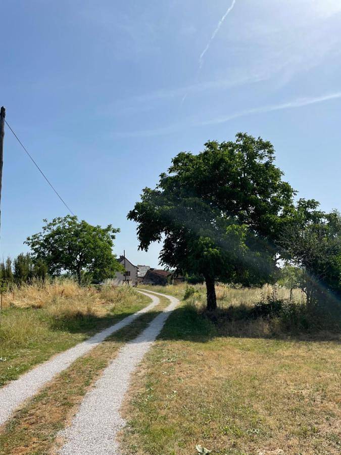 Location de vacances pour 4 personnes, avec piscine ainsi que jardin et jacuzzi à Loze - 4