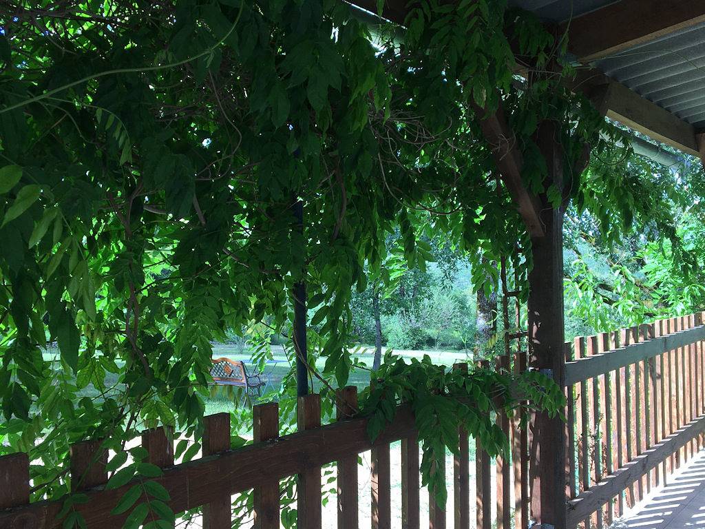 Gîte "le Chêne et les Etoiles" avec piscine proche de Rocamadour in Le Bastit, Parc Naturel Régional des Causses du Quercy