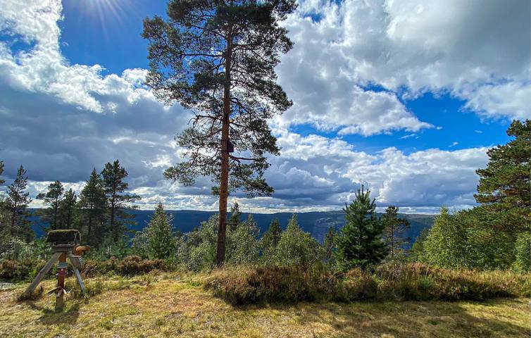 Ferienhaus für 6 Personen mit Terrasse in Åmli