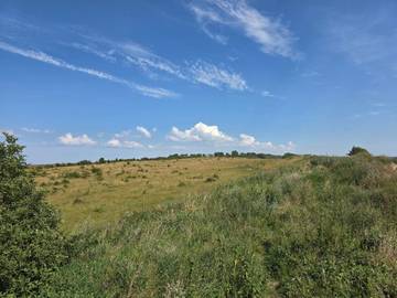 Ferieudlejning til 6 Personer i Ristinge, Langeland, Billede 4