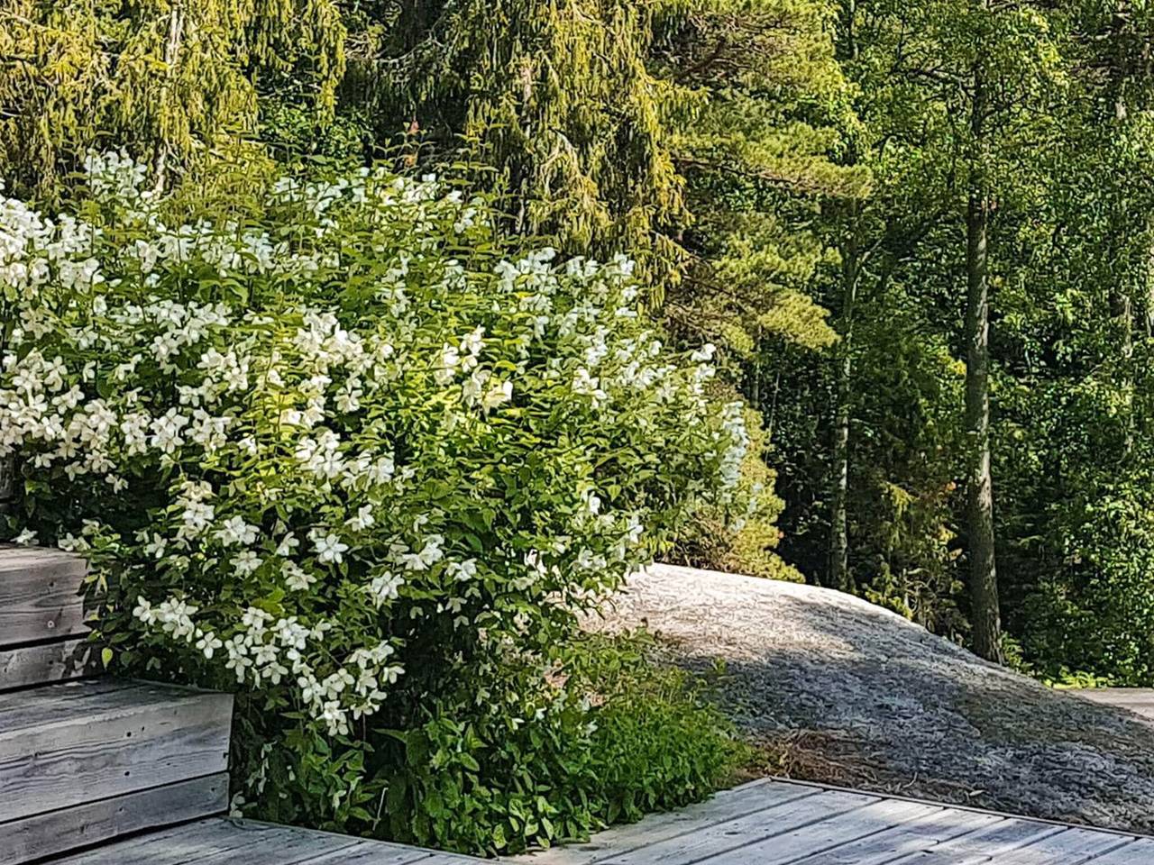 Friedliches Inselhaus in Meeresnähe in Hölö, Fagelbrolandet