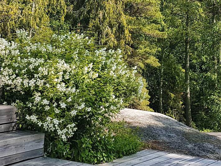 Lugnt hus på ön nära havet in Hölö, Fågelbrolandet