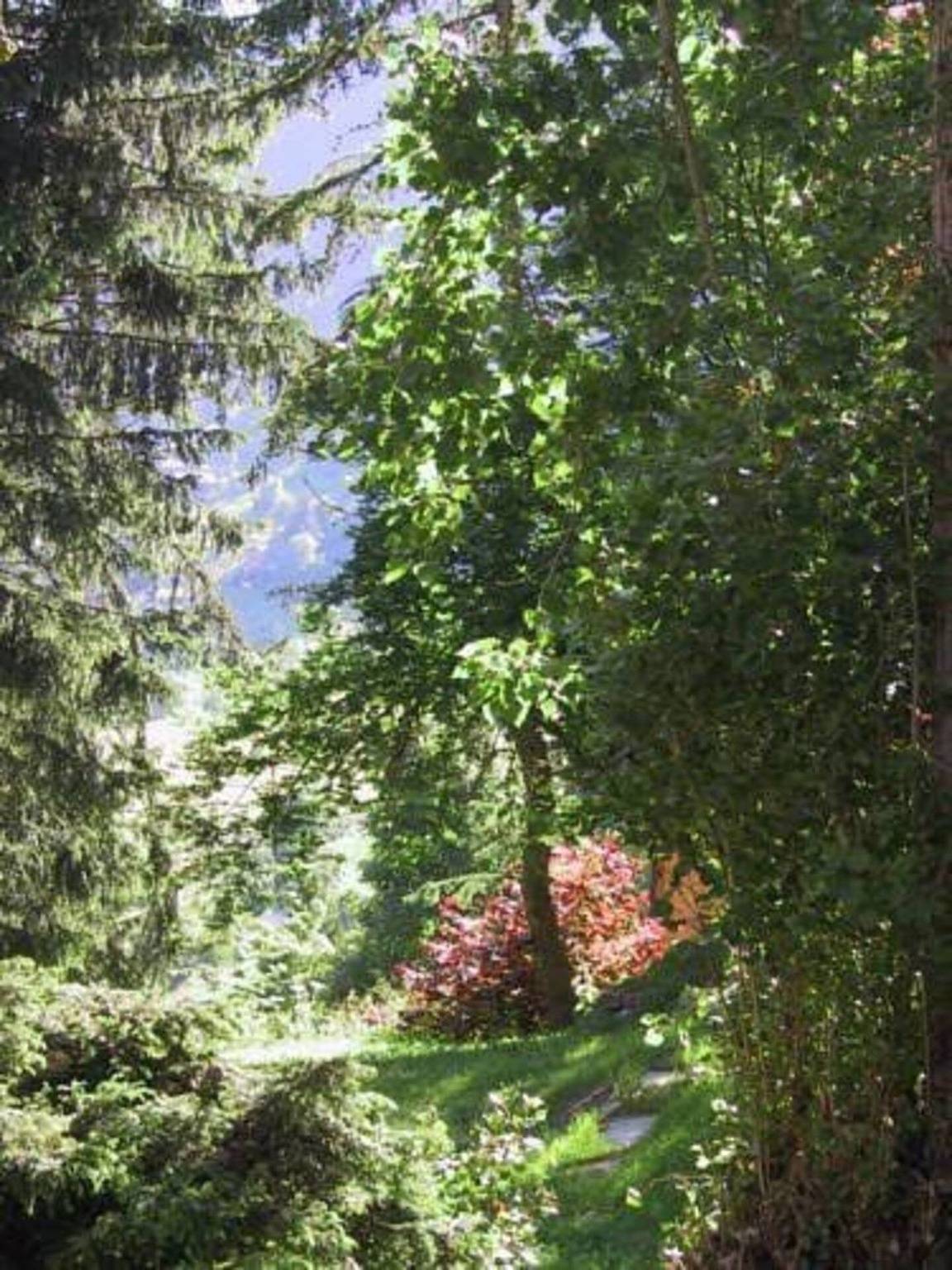 Ganze Ferienwohnung, Chalet Mazot ein umgebauter alter Kornspeicher in Bagnes, Walliser Alpen