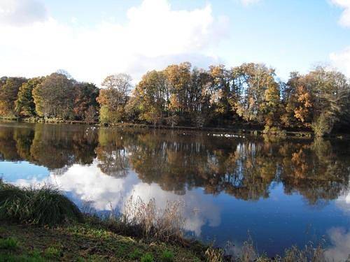 Location de vacances pour 3 personnes, avec jardin et terrasse à Prat - 2