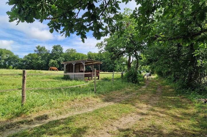 Expérience équestre et bain nordique privé. in Ambrus, Région de Nérac