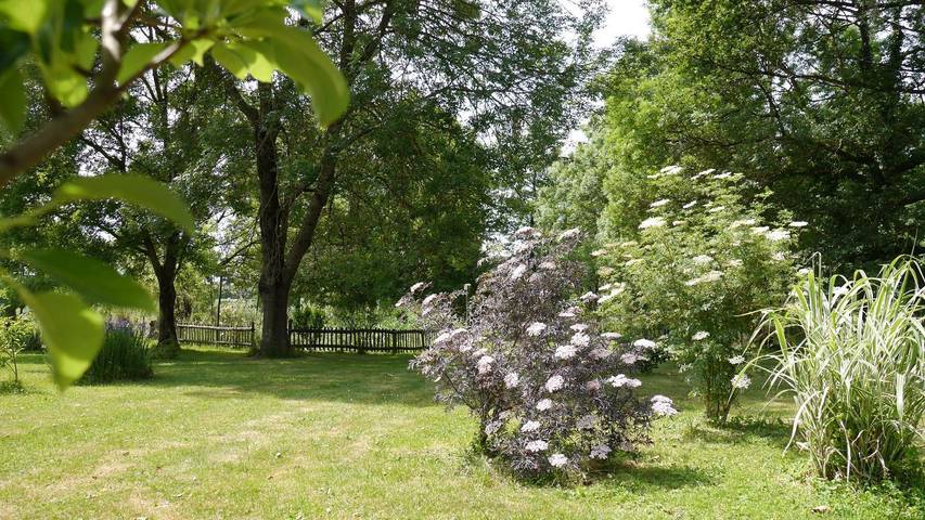Gîte pour 4 personnes, avec terrasse et jardin à Pierre-de-Bresse - 4