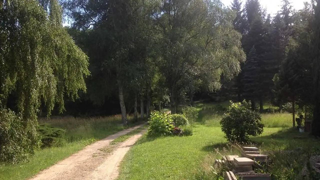 Ganze Ferienwohnung, Ferienwohnung für 4 Personen (64 m²) in Bad Malente in Malente, Ostholstein