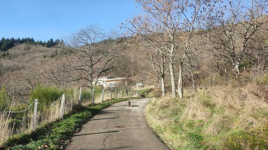 Location de vacances pour 8 personnes, avec Terrasse ainsi que Jardin et Vue dans Vanosc - 4
