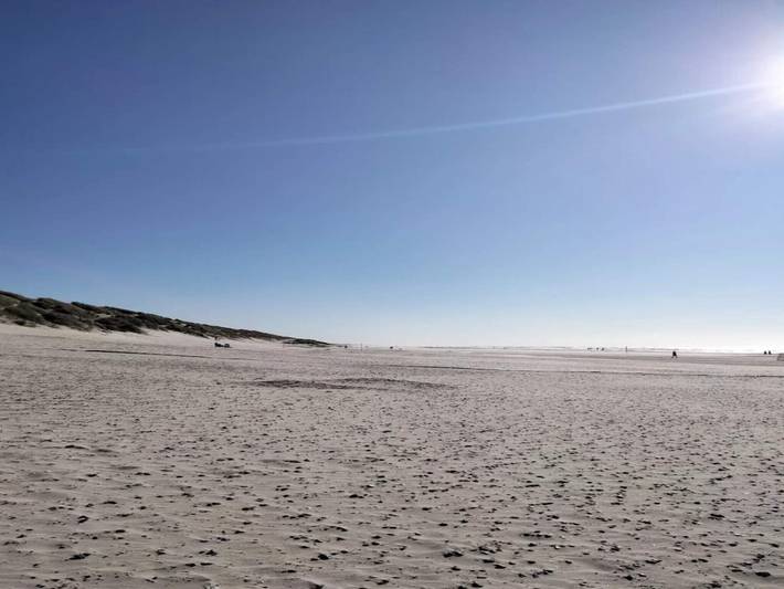 Ferienhaus für 6 Personen, mit Terrasse, mit Haustier in Henne Strand - 2