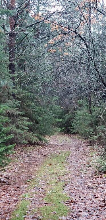 Holiday rental for 4 people, with garden in Canada