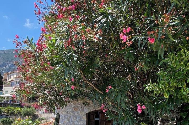 Gîte pour 2 personnes, avec terrasse dans Plage Du Buse Roquebrune Cap Martin