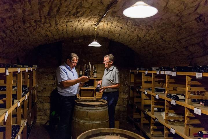 Hotel für 2 Personen, mit Garten und Balkon in Müllheim - 3
