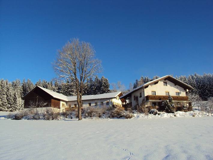 Ferienhaus für 3 Personen, mit Balkon und Terrasse sowie Garten in Drachselsried - 2
