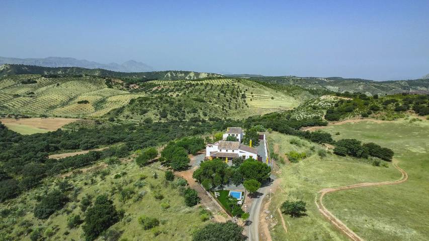 Chalet para 14 personas, con jardín y piscina - 1
