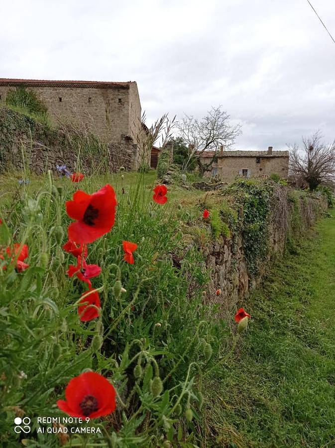 Maison d’hôte pour 4 personnes, avec Terrasse et Jardin ainsi que Piscine et Vue à Vernosc-lès-Annonay