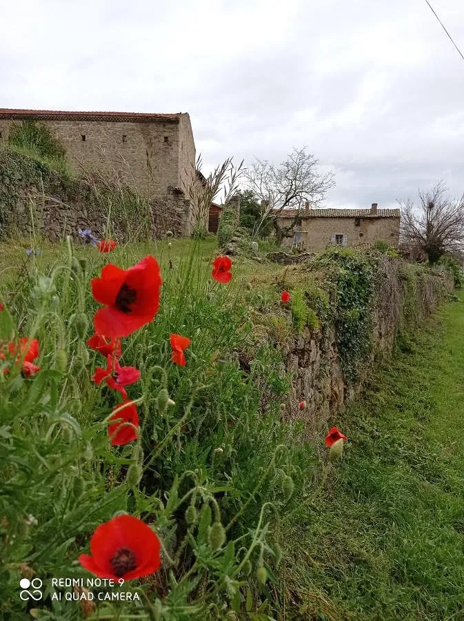 Guesthouse for 4 people, with garden and view as well as pool, with pets - 1