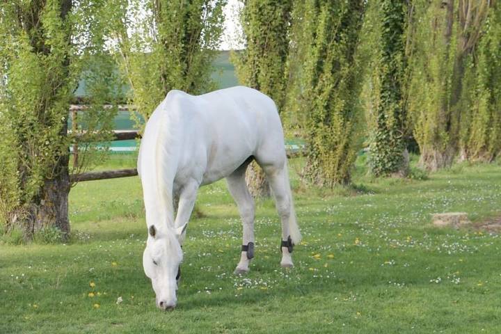 Maison d’hôte pour 2 personnes, avec jardin et vue dans Seine-et-Marne - 3