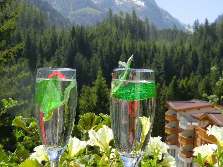 Ganze Wohnung, Landhaus Dengg - Ferienwohnung Almliebe für 2-3 Personen in Gerlos, Zillertaler Alpen