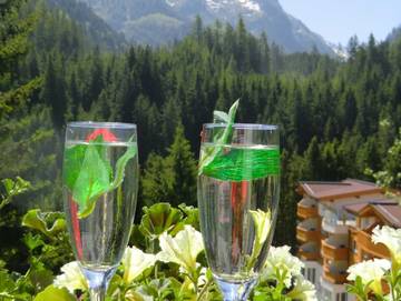 Ferienwohnung für 4 Personen in Gerlos, Zillertaler Alpen, Bild 4