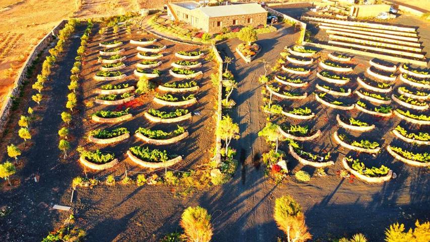 Apartamento de vacaciones para 3 personas, con jardín y vistas en Fuerteventura - 2