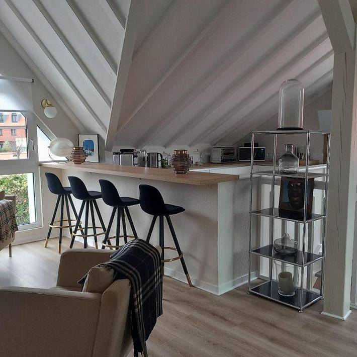 Gîte pour 4 personnes, animaux acceptés à Horbourg-Wihr - 4