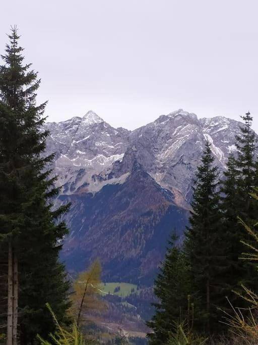 Hike Paradise in Carinthia in Karawanken und Bachergebirge, Bezirk Völkermarkt