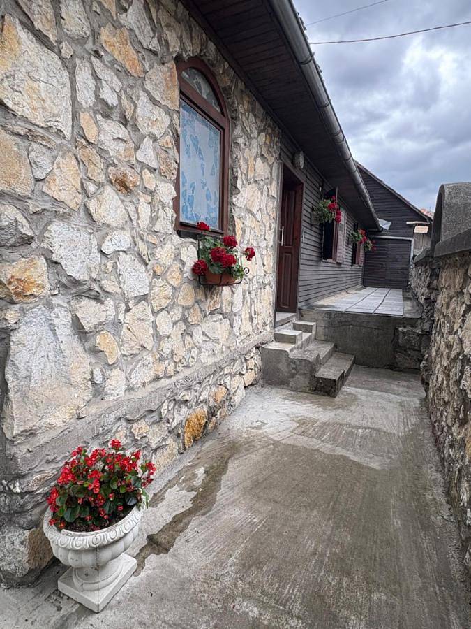 Location de vacances pour 14 personnes, avec jardin ainsi que piscine et vue à Alba (Romania) - 3