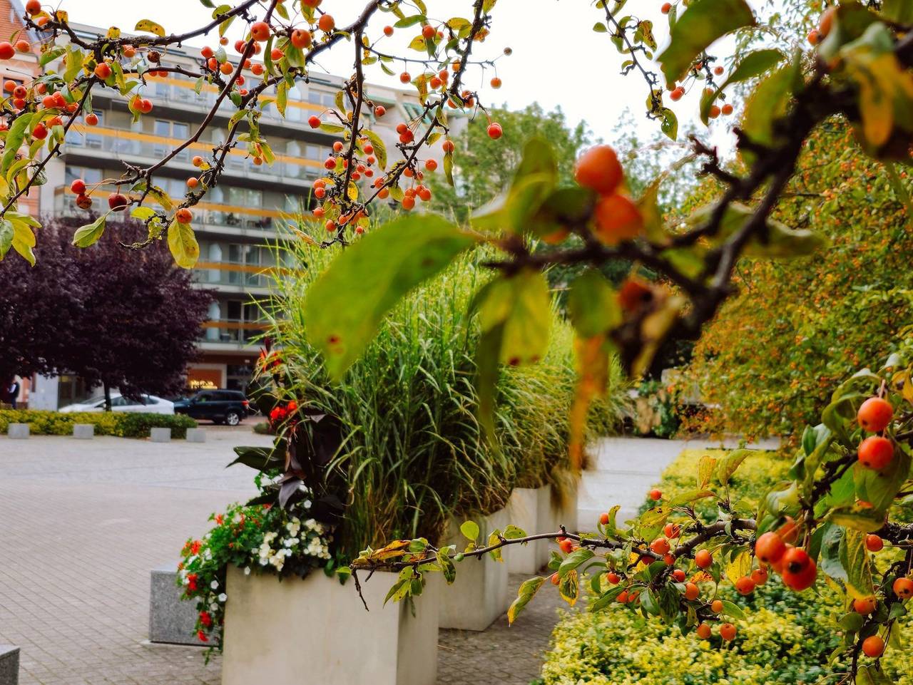 Ganze Ferienwohnung, Studio Centrum (Ps36) - Studio Comfort (Ps36) in Swinemünde, Stettiner Haff