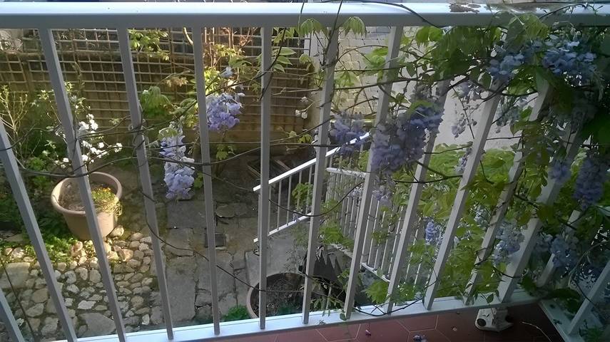 Chambre d’hôte pour 4 personnes, avec jardin dans le Morbihan - 3