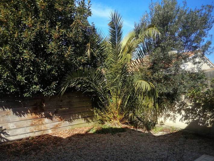 Location de vacances pour 6 personnes, avec piscine et terrasse à Vendays-Montalivet - 2