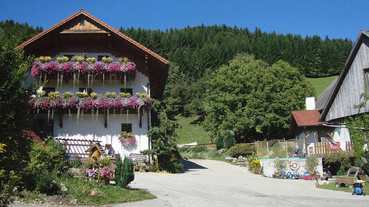 Ganze Ferienwohnung, Ferienwohnung für 4 Personen (50 m²) in Vorderstoder in Vorderstoder, Kirchdorf an der Krems (Bezirk)