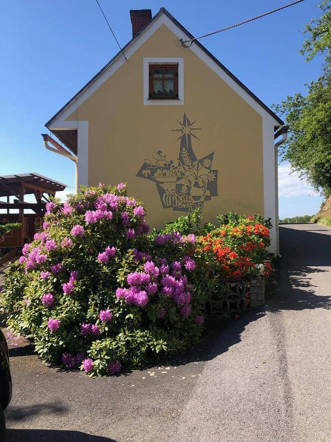 Ferienwohnung für 3 Personen, mit Garten und Ausblick in der Oststeiermark - 2