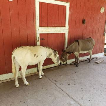 Barn for 10 Guests in Wears Valley, Sevier County, Picture 1