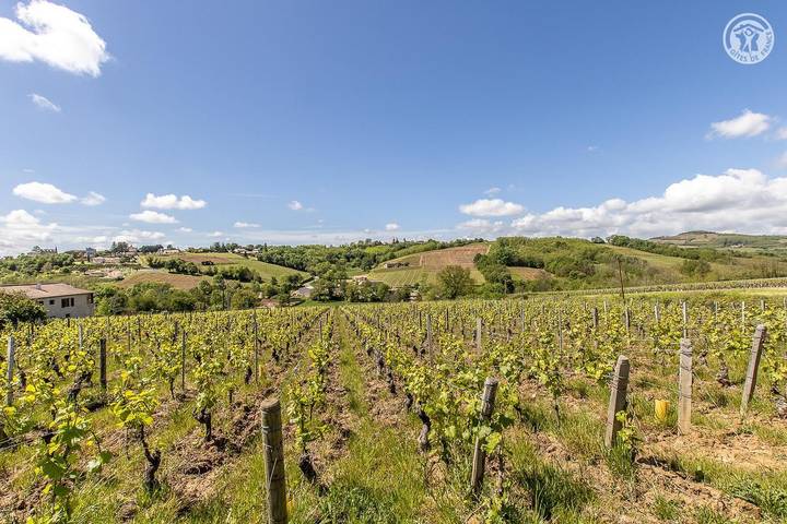 Chez Papy Poule in Chânes, Beaujolais