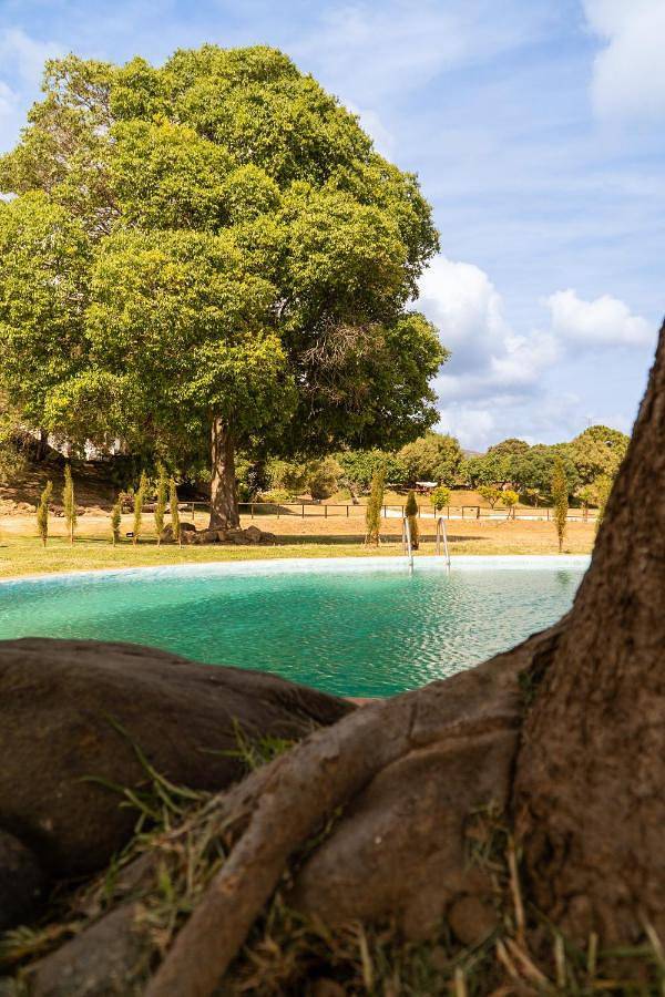 Finca Santa Teresa, Casa La Higuera in Sierra (Casares), Casares