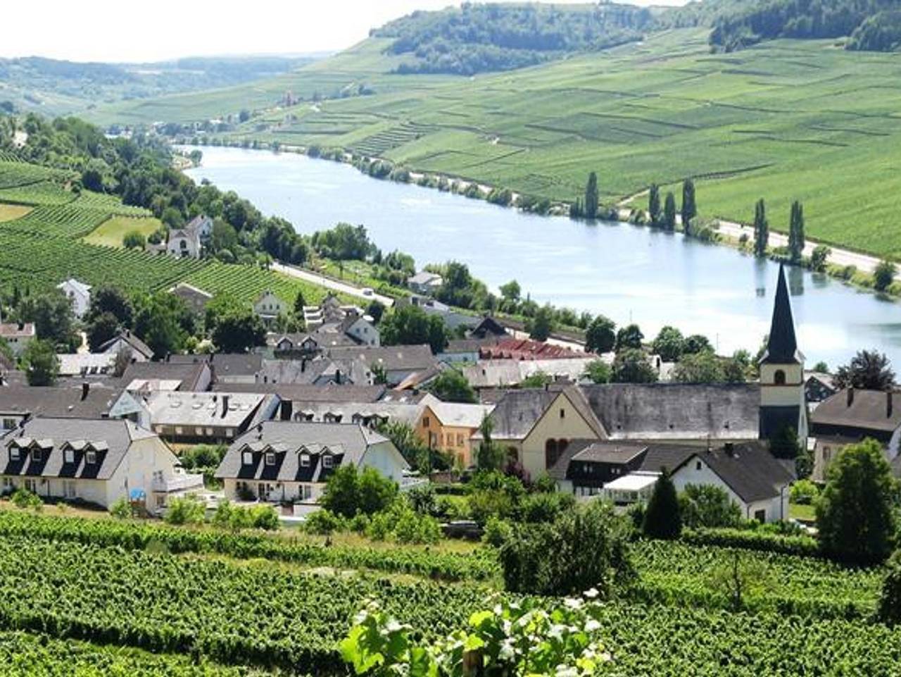 Ganze Ferienwohnung, Weingut-Ferienwohnung Heinz Dostert - Ferienwohnung in Nittel, Landkreis Trier-Saarburg