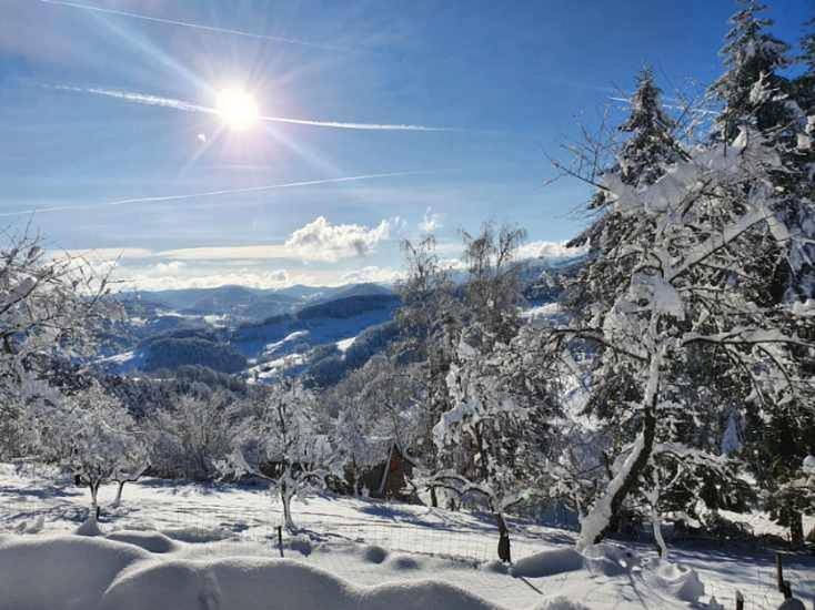 Le nid du Kaloui in Fréland, Parc naturel régional des Ballons des Vosges