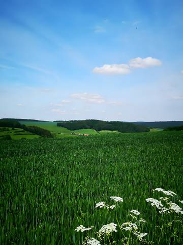Ferienwohnung für 4 Personen in Stryck, Willingen, Bild 4