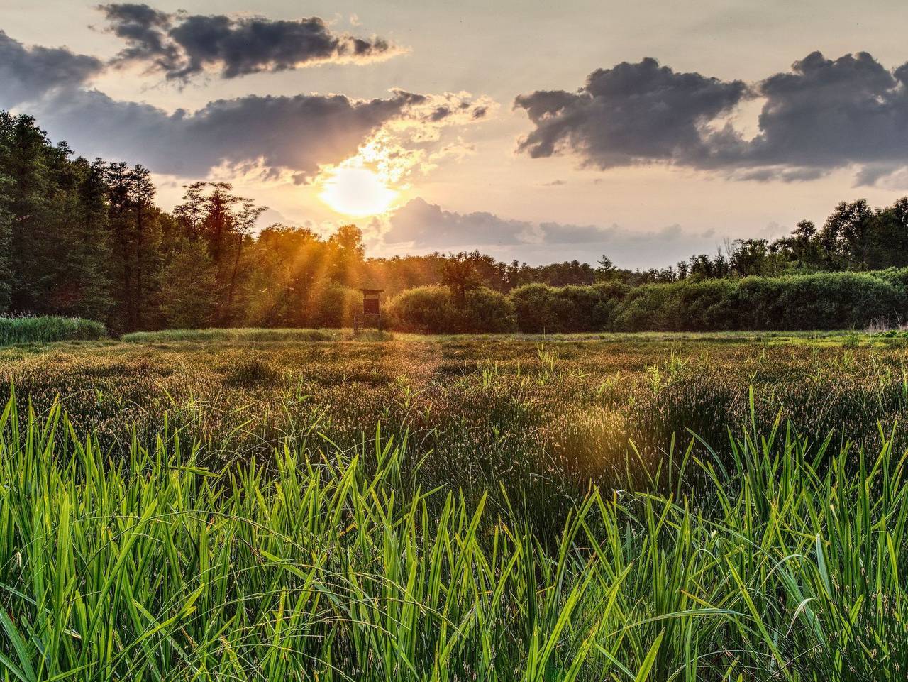 Ganze Ferienwohnung, Ferienwohnung Spreewald pur - Ferienwohnung Spreewald pur in Lübbenau, Oberspreewald-Lausitz