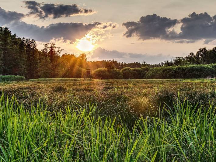 Ferienwohnung für 4 Personen, mit Garten und Terrasse in der Lausitz