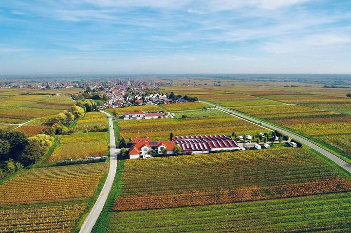 Ferienwohnung für 3 Personen in Edesheim