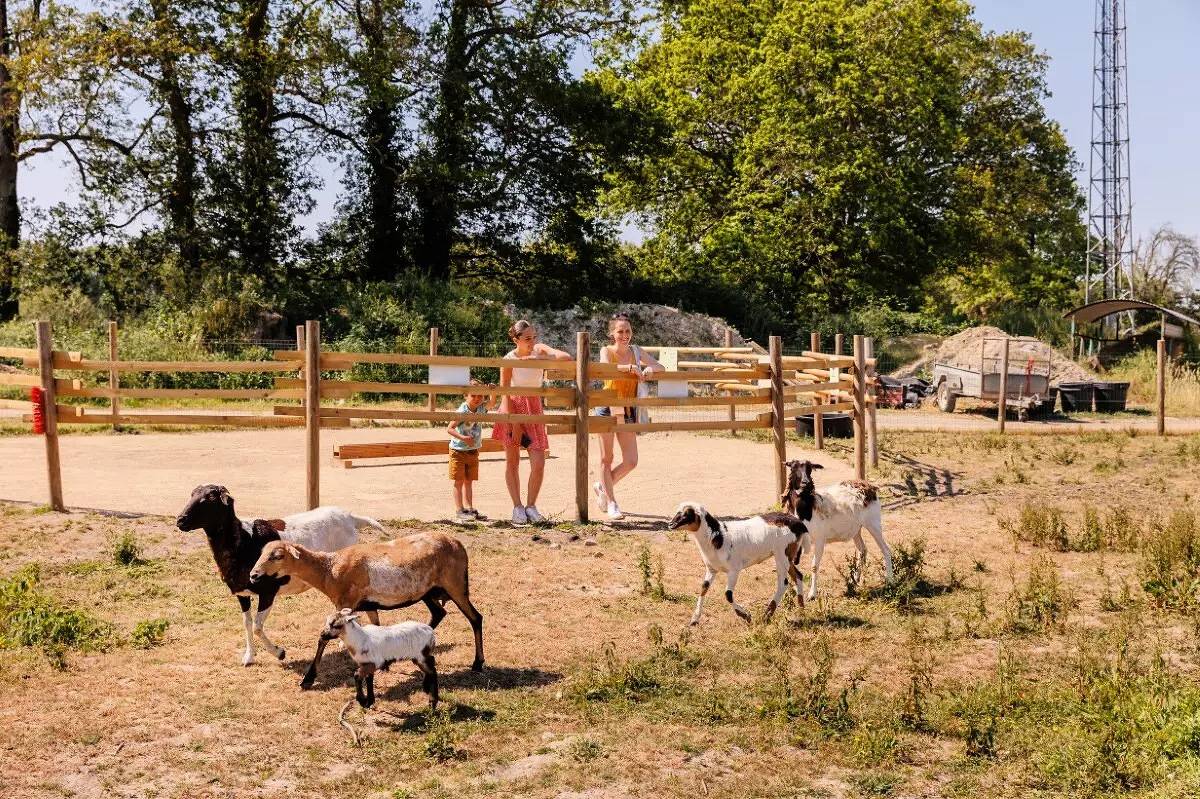 Pagan 3-Room Canvas Bungalow for 5 People (4 adults + 1 child -8 years old) in Bois-de-Céné, Vendée