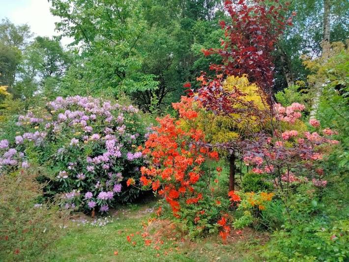 Maison de vacances pour 4 personnes, avec jardin et terrasse, animaux acceptés - 1