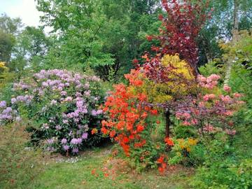 Location de vacances pour 4 personnes, avec jardin et terrasse, animaux acceptés à Mauron