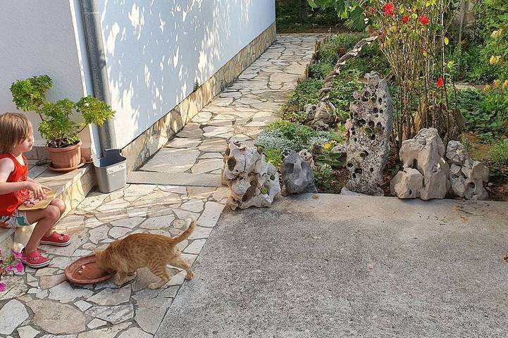 Ferienwohnung für 5 Personen, mit Garten - 1