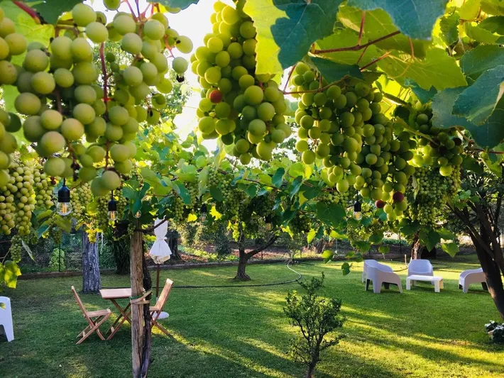 Maison d’hôte pour 2 personnes, avec jardin et vue, adapté aux familles - 1
