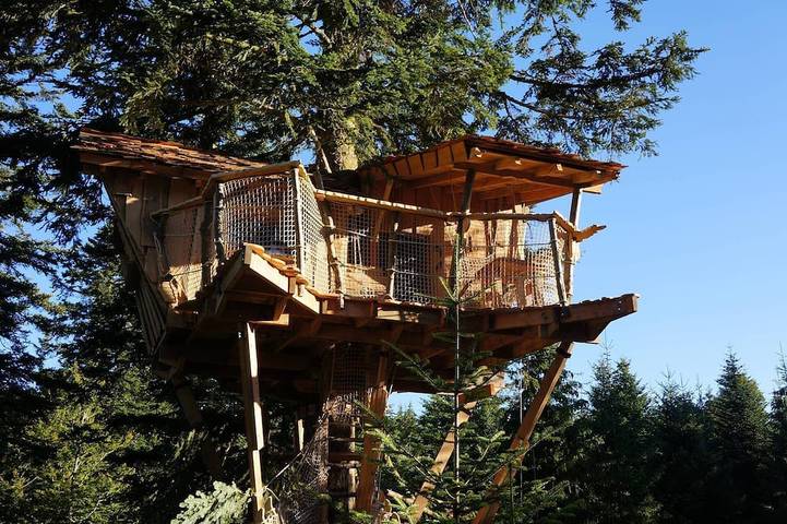Log cabin for 2 people, with terrace, with pets - 1