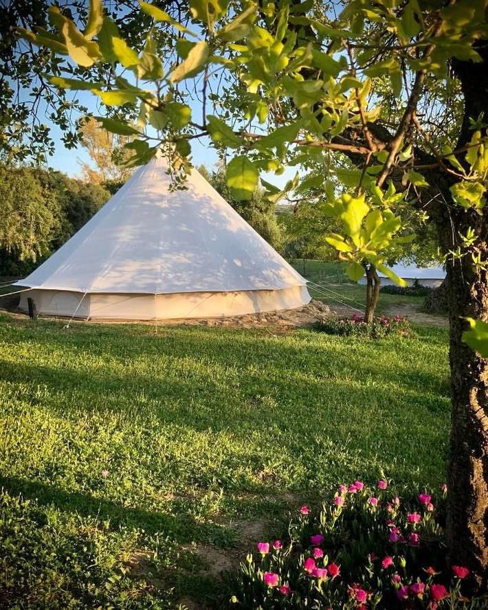 Maison de vacances pour 2 personnes, avec Terrasse et Jardin ainsi que Piscine et Vue à Arcos de la Frontera - 3
