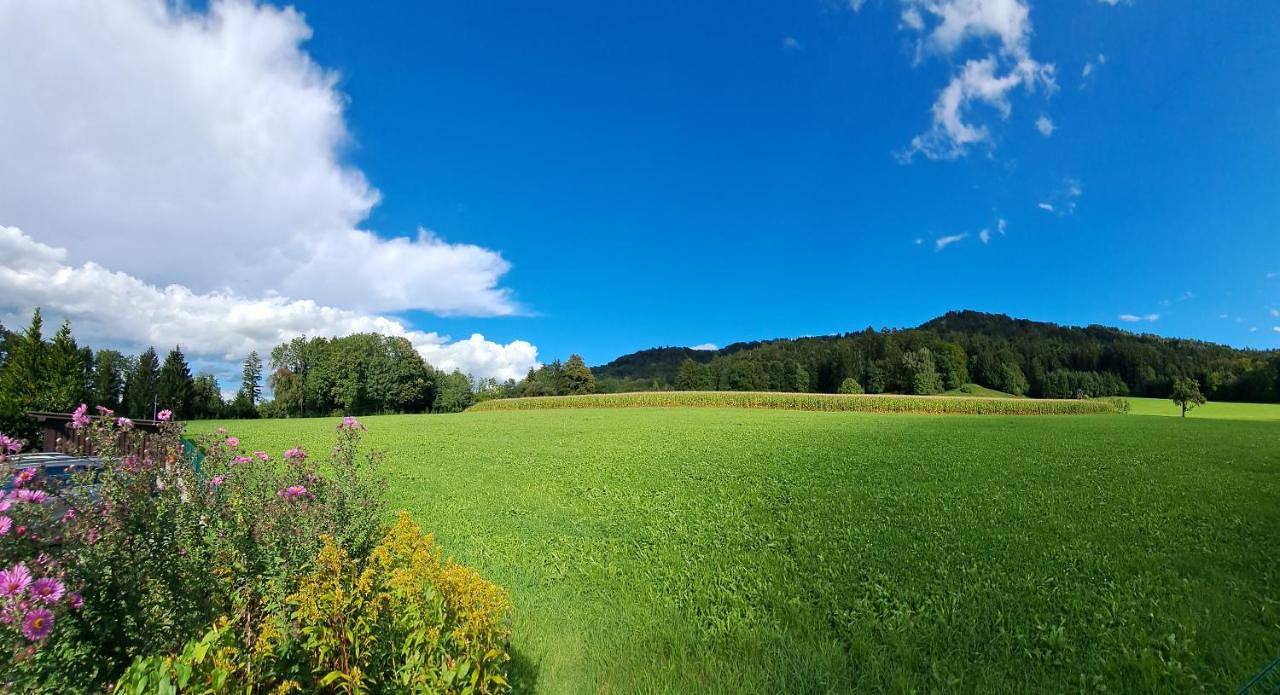 Pension Seeblick in Hörbranz, Bodensee-Vorarlberg